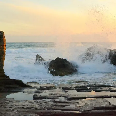 Hébergement de vacances Casa L'ulivo