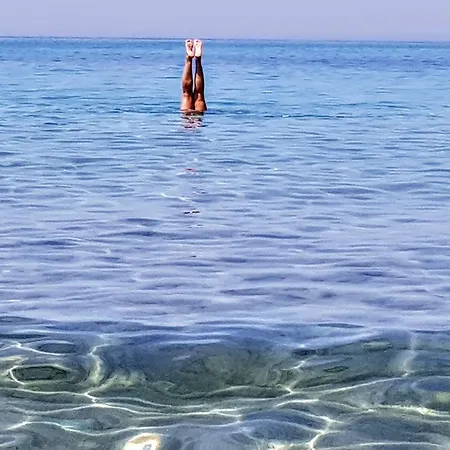 Casa L'ulivo Hébergement de vacances *