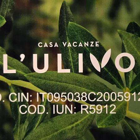 Casa L'ulivo Holiday home