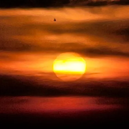 Casa L'ulivo Сasa de vacaciones Oristano