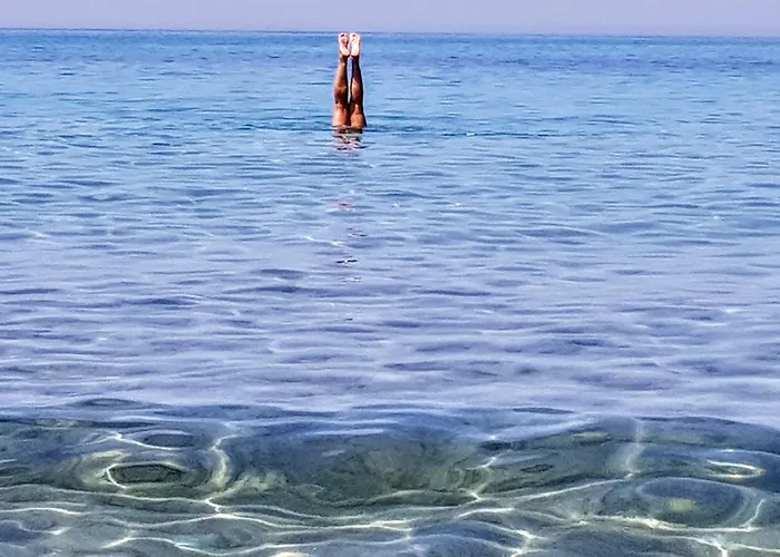 Casa L'ulivo Holiday home *